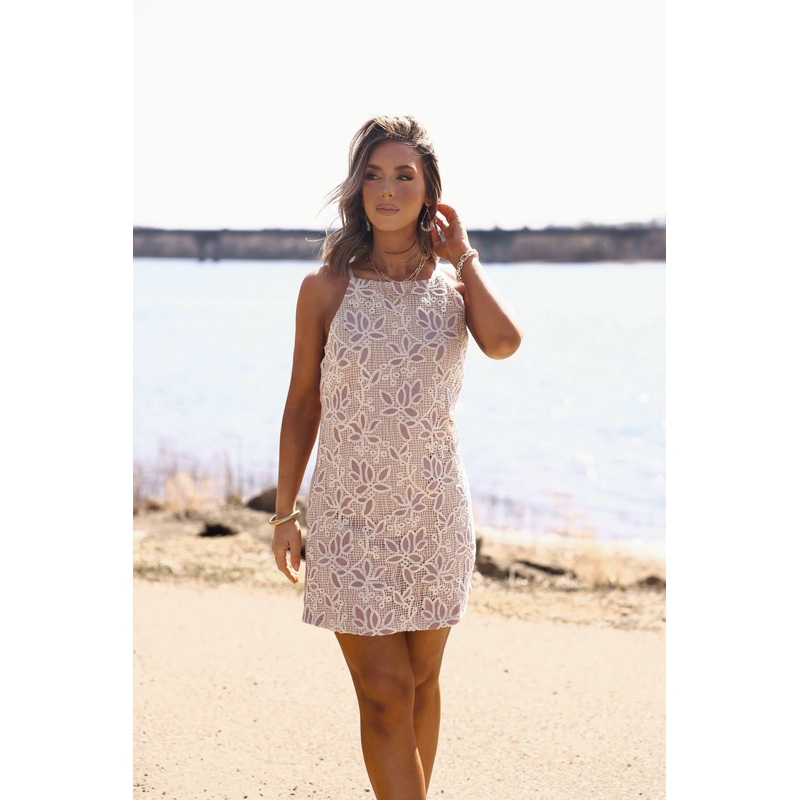 Love & Lace Light Mauve Shift Mini Dress – FINAL SALE Small