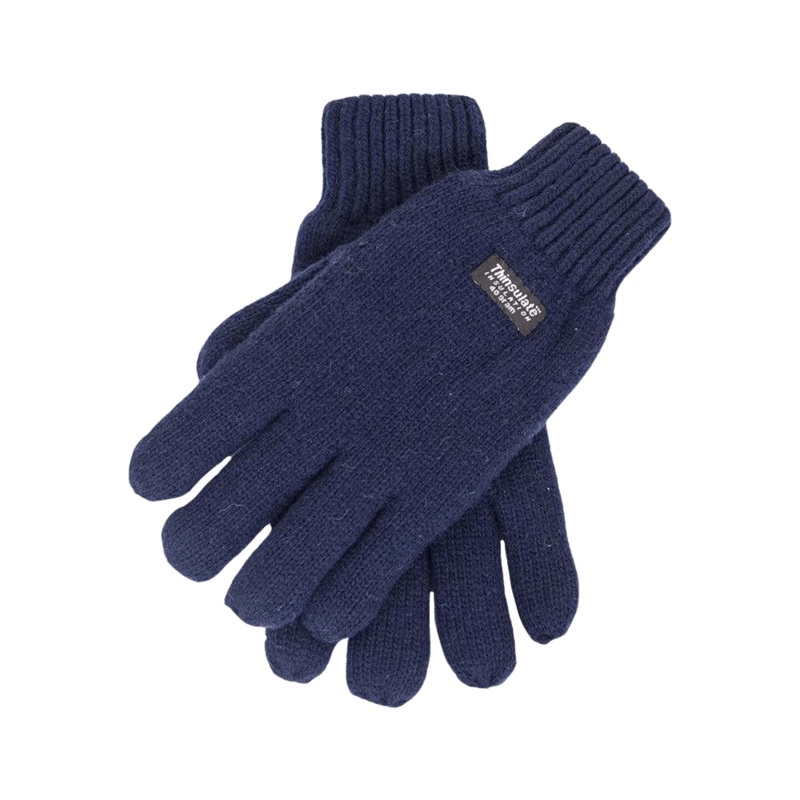 Dents Durham Thinsulate Gloves Navy Medium