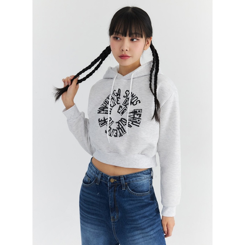 Fleeced Graphic Crop Hoodie CN301 Light gray S/M