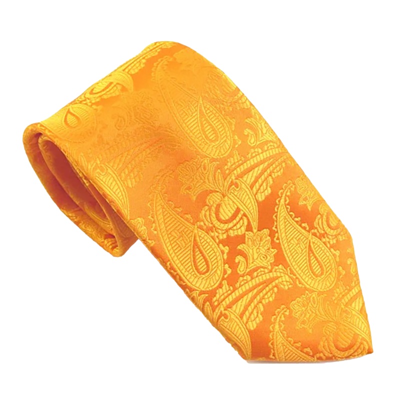 Van Buck Paisley Tie by Van Buck in Orange Orange One Size