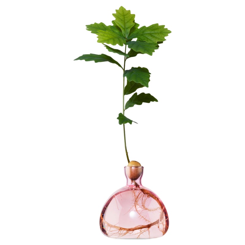 Ilex Studio Coloured Acorn Vase Rose Pink One Size