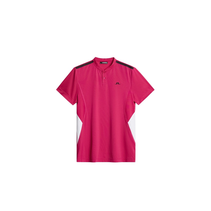 Zayden Polo / Vivacious Vivacious L