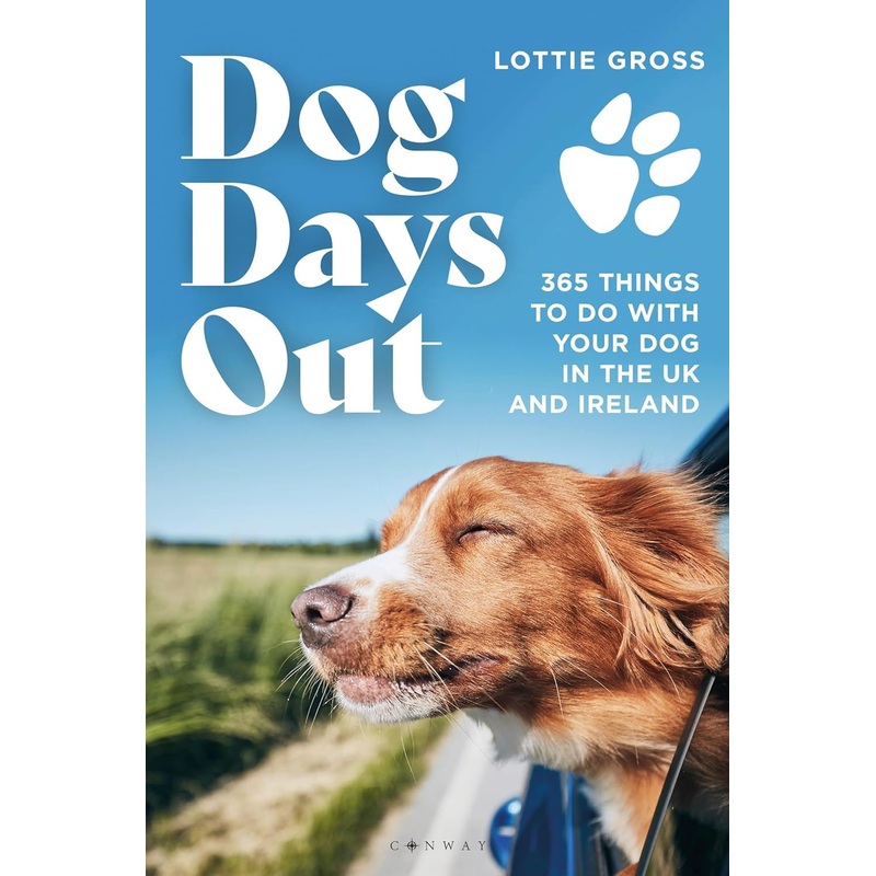 Dog Days Out One One Size