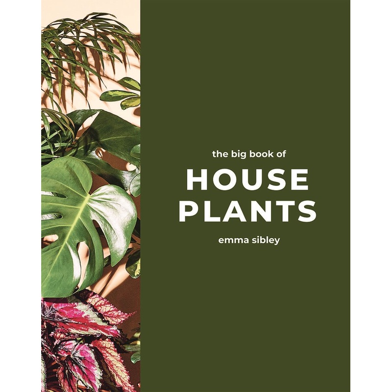 Big Book Of House Plants One One