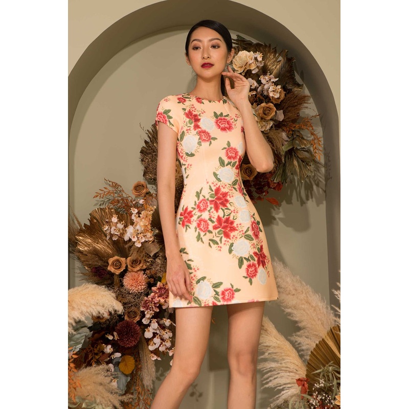 Dalayhong (Light Orange) XS Light Orange