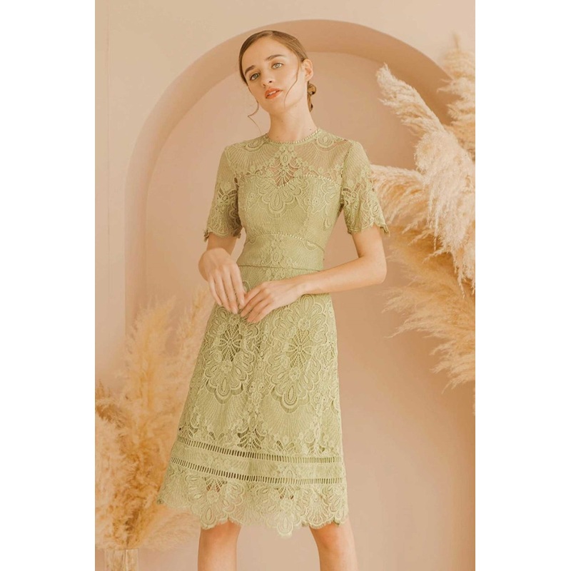 Dushuidou (Sage) XS Sage