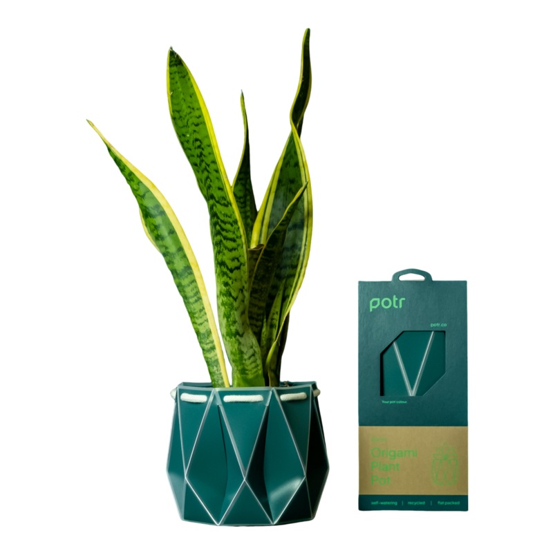 POTR 15cm Self Watering Pot Dark Teal One Size