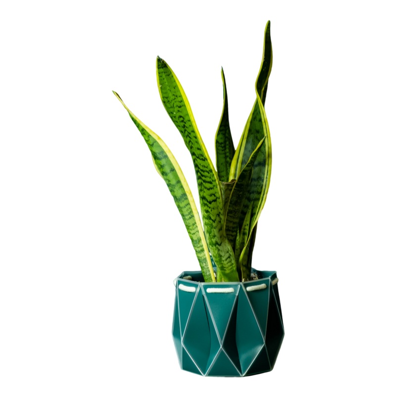 POTR 18cm Self Watering Pot Dark Teal One Size