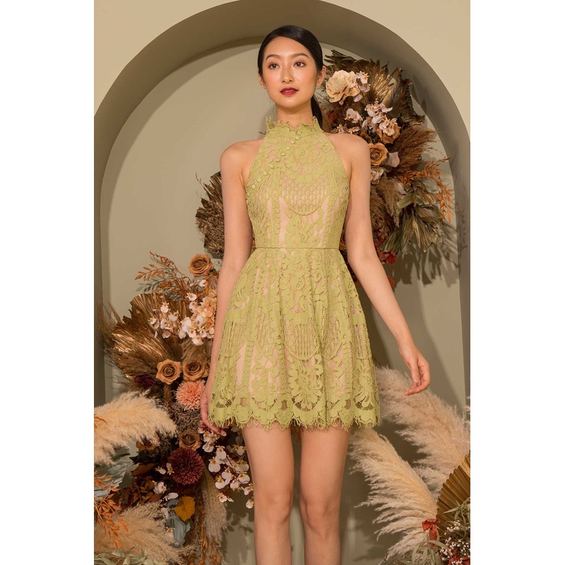 Dallychin (Pistachio) XS Pistachio