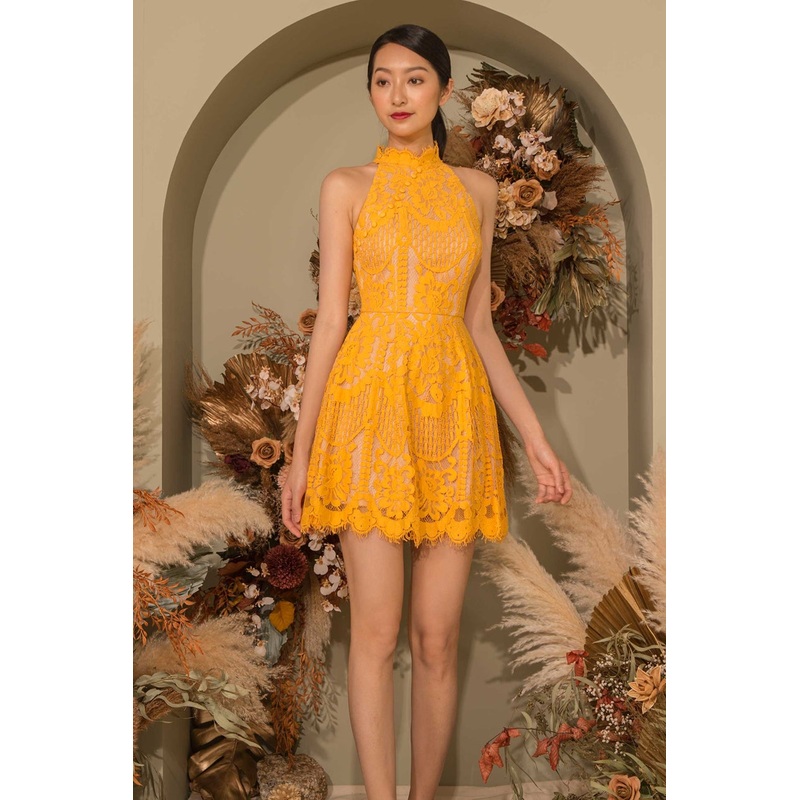 Dallychin (York) XS York