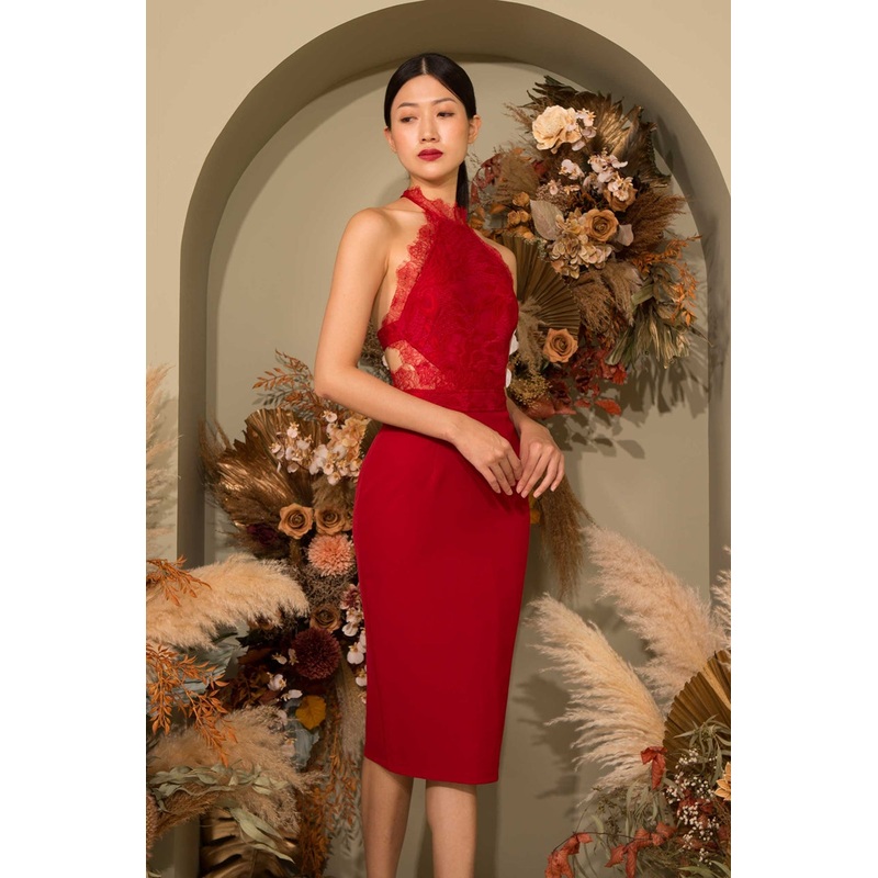 Dogartic (Red) XS Red