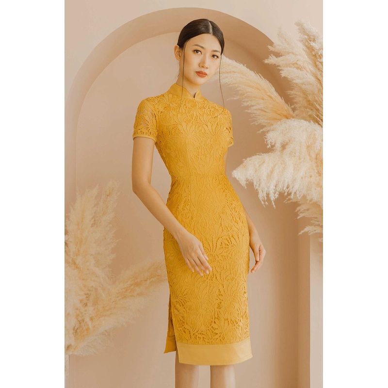 Dericchio (Sunflower Yellow) XS Sunflower