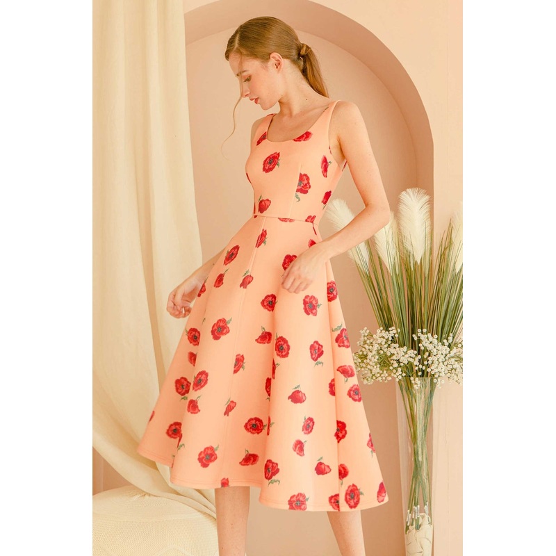 Dolaverse (Light Orange) XS Light Orange