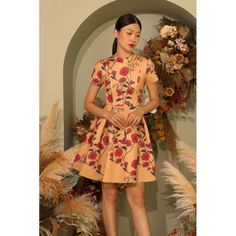 Duhaixue (Gold) XS Gold