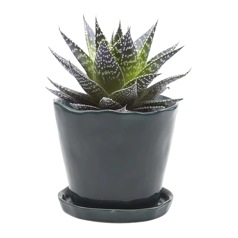 Big Tika 5″ Planter Ceramic Pot and Saucer New Grey One Size