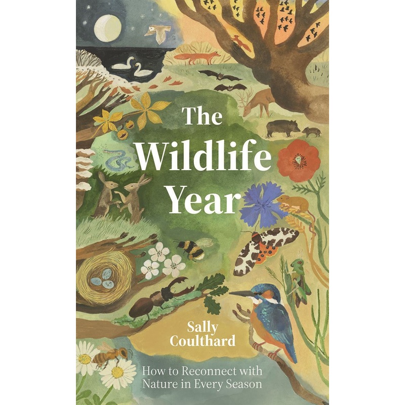 Wildlife Year: How To Reconnect With Nature One One