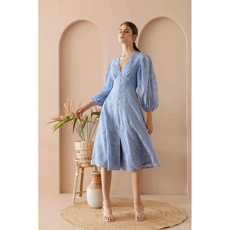 Damietina (Cornflower) XS Cornflower