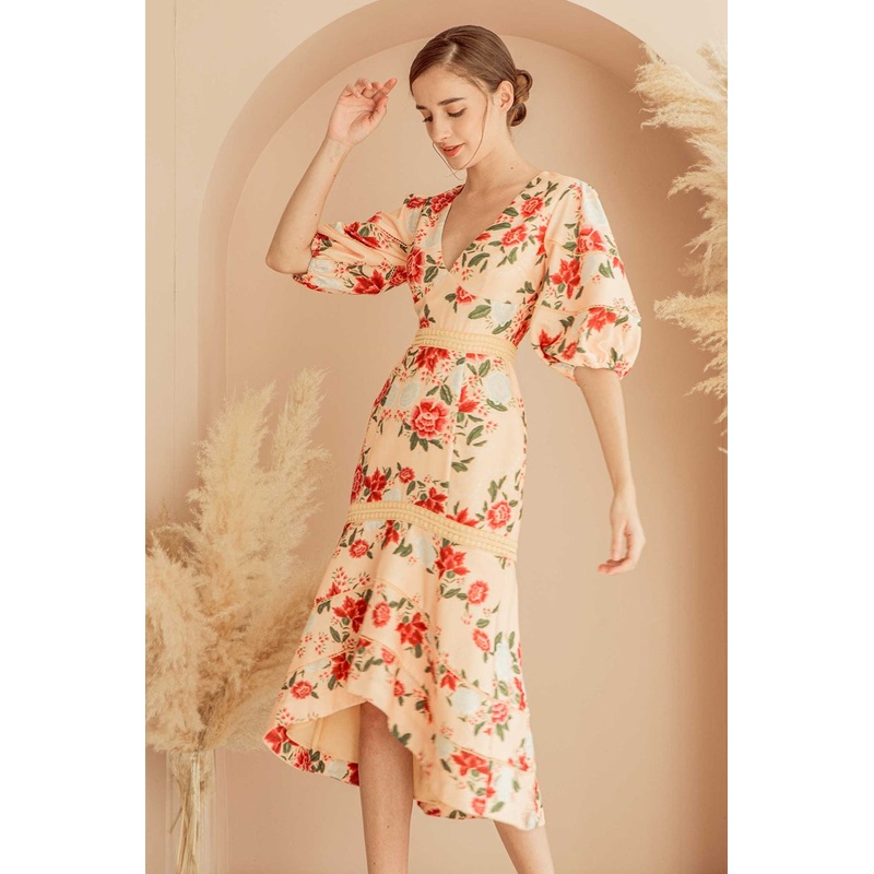 Danilariol (Light Orange) XS Light Orange