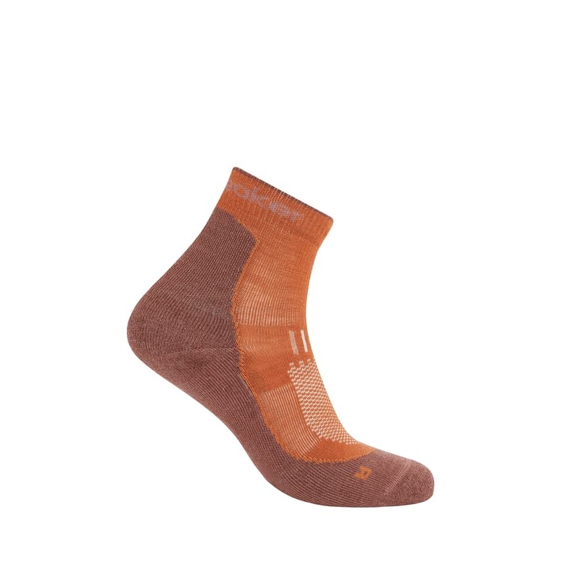 icebreaker Merino Hike+ Light Mini Socks – Men’s