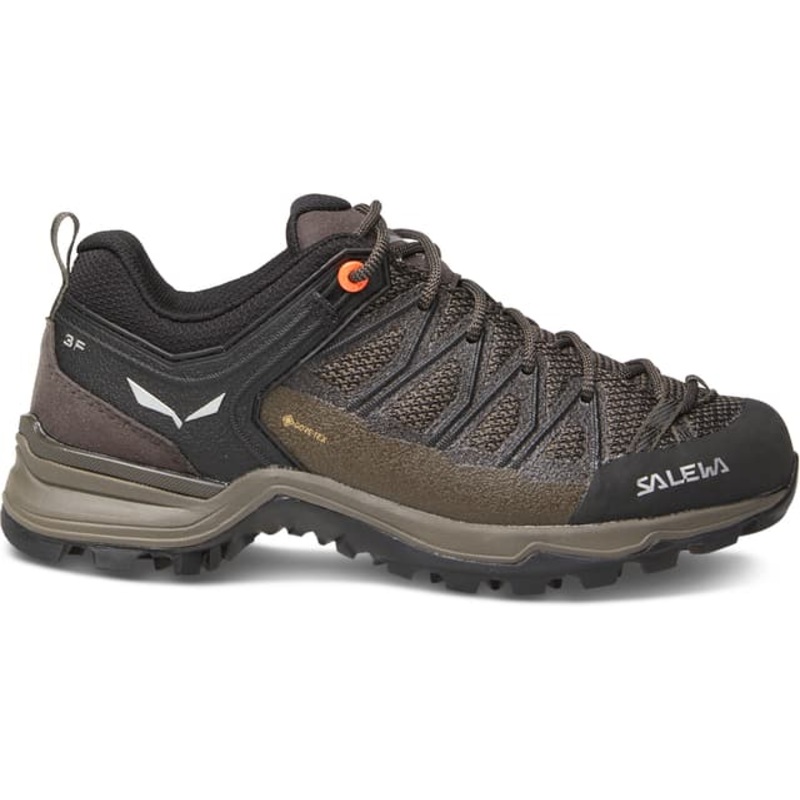 Salewa Mountain Trainer Lite Gore-Tex Shoes – Women’s