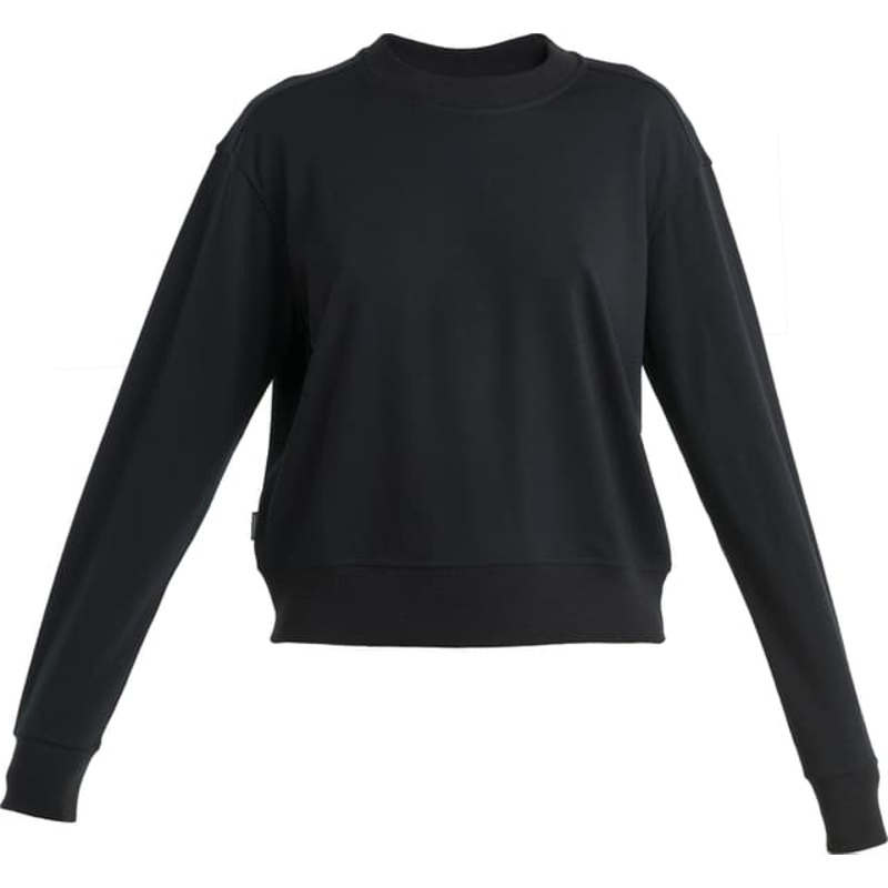 icebreaker 200 Crush II Merino Blend Long Sleeve Sweatshirt – Women’s